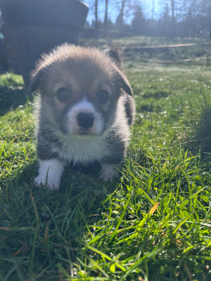 Believe in the universe